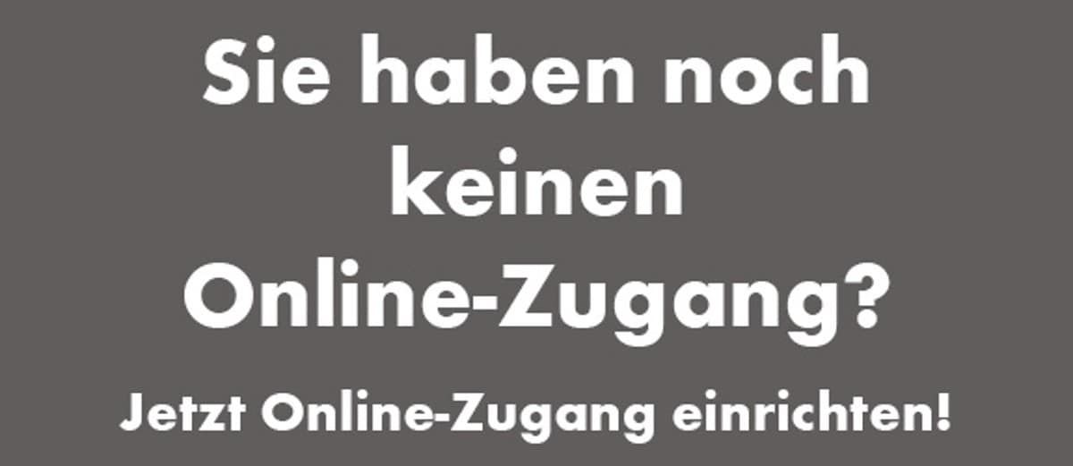 kein online-Zugang