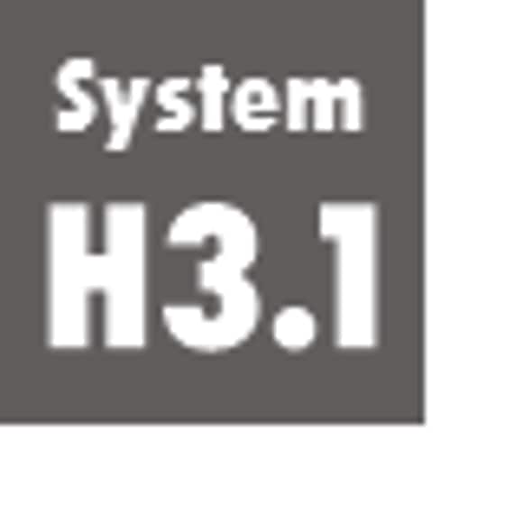System H3