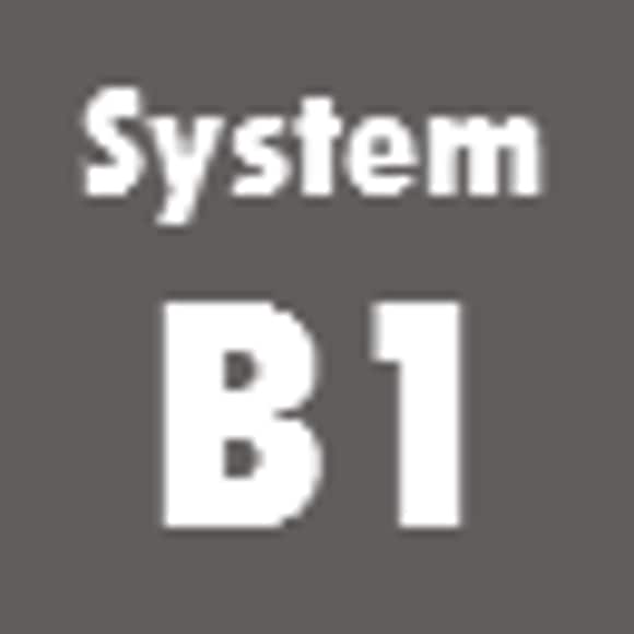 System B1