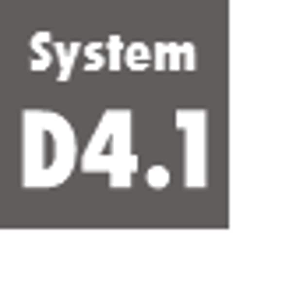 System D4.1