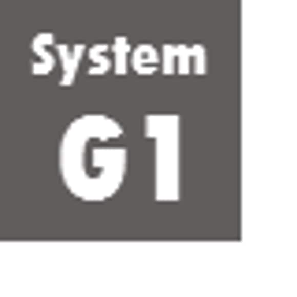 System G1