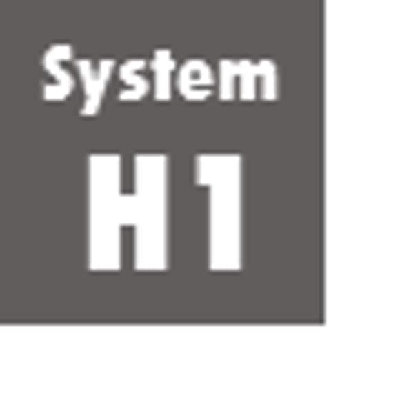 System H1