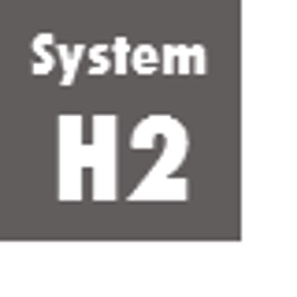 System H2