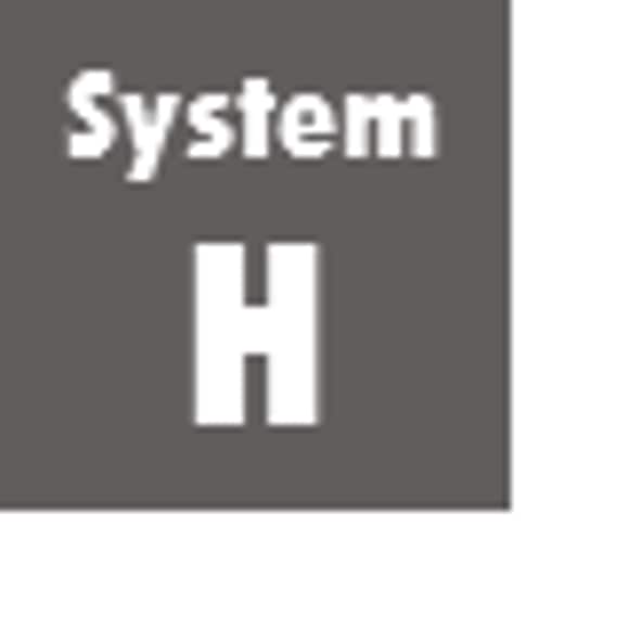 System H