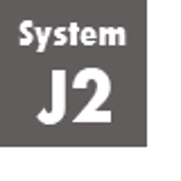 System J2