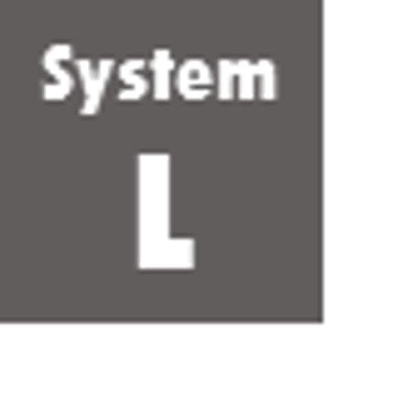 System L